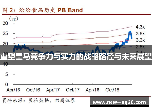 重塑皇马竞争力与实力的战略路径与未来展望