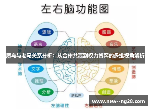 魔鸟与老马关系分析：从合作共赢到权力博弈的多维视角解析