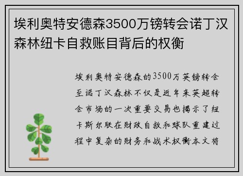 埃利奥特安德森3500万镑转会诺丁汉森林纽卡自救账目背后的权衡